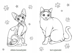 Kolorowanka Malowanka dla dzieci Maluszkowe malowanie Koty rasowe