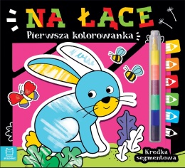 Kolorowanka dla dzieci Na łące + kredka segmentowa Malowanka Aksjomat